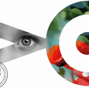 Festival Hors Cadre 2025